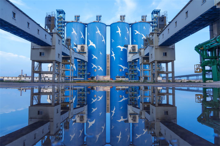 1666369417912549377.jpg 1666369417912549377.jpg